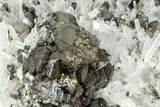 Pyrite and Sphalerite on Quartz Crystals- Peru #238940-3